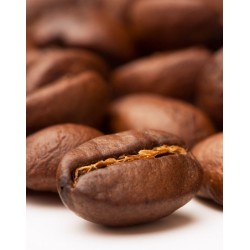 CAPSULA KOPI LUWAK