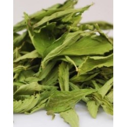 STEVIA