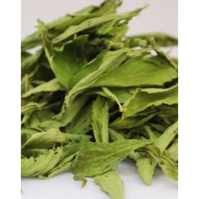 STEVIA