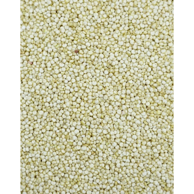 SEMILLAS QUINOA