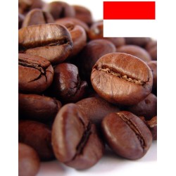 KOPI LUWAK